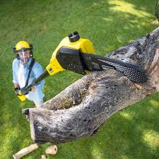 Best Lawn Pest Prevention  in Rancho Laveras, CA